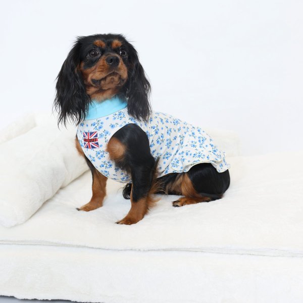 画像9:  9月新作 【キャバスーツ ワンピ】Garden on the Hill ( CORAL ) (9)