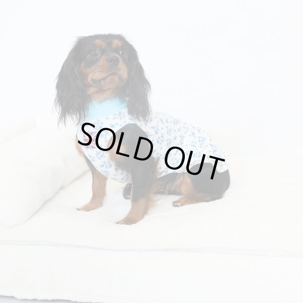 画像7:  9月新作 【キャバスーツ ワンピ】Garden on the Hill ( SKY BLUE ) (7)