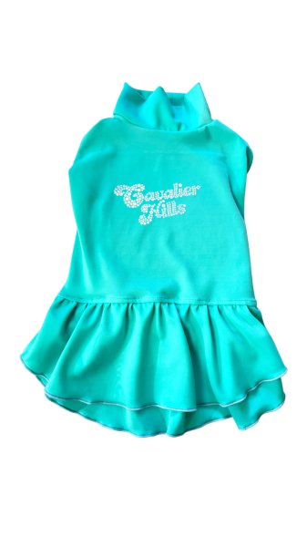 画像37:  Ｍサイズ・カラー限定 【残り1着】Cavasuits チアワンピ (37)