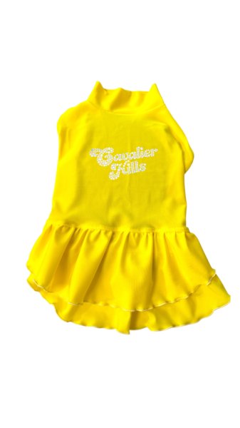 画像40:  Ｍサイズ・カラー限定 【残り1着】Cavasuits チアワンピ (40)