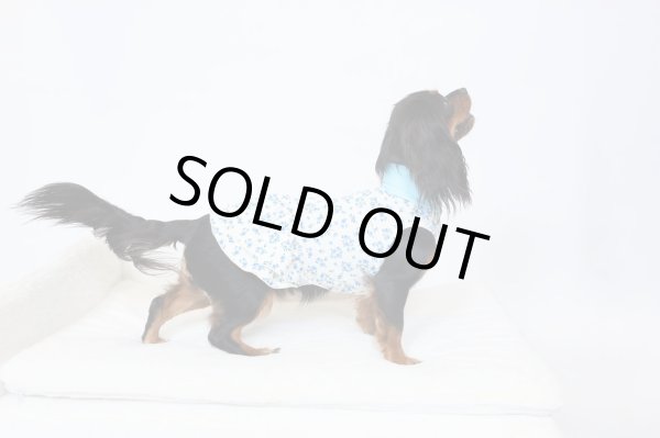 画像8:  9月新作 【キャバスーツ ワンピ】Garden on the Hill ( SKY BLUE ) (8)