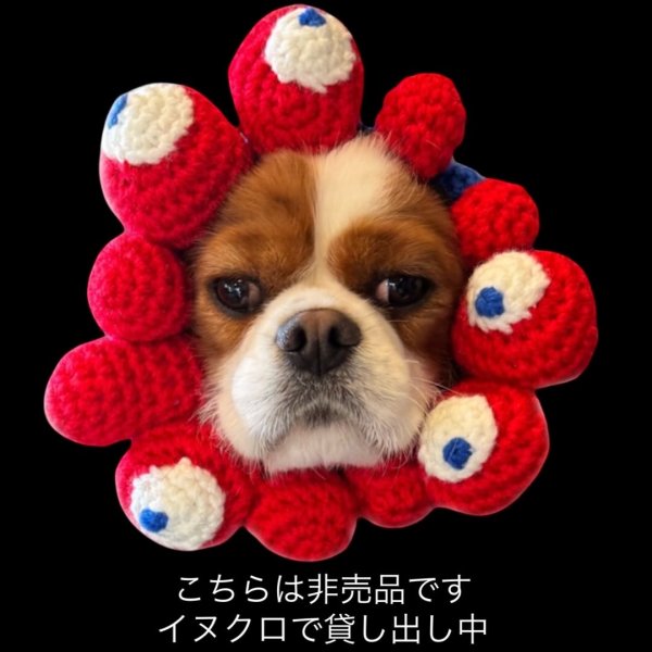 画像3: すあませいさくしょ☆イヌクロ万博セット (3)