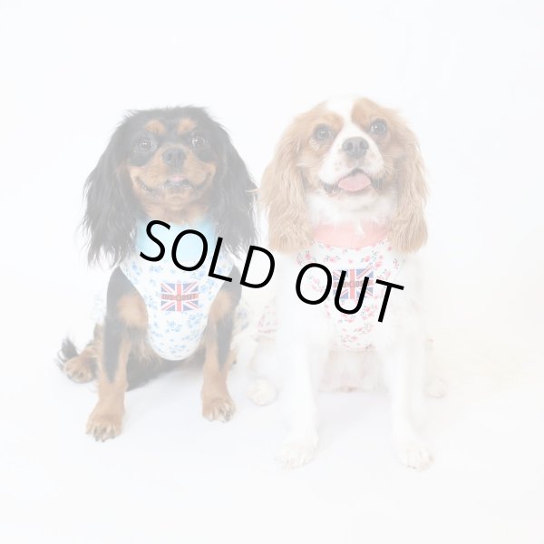 画像4:  9月新作 【キャバスーツ ワンピ】Garden on the Hill ( SKY BLUE ) (4)