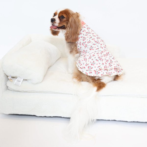 画像6:  9月新作 【キャバスーツ ワンピ】Garden on the Hill ( CORAL ) (6)