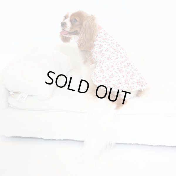 画像6:  9月新作 【キャバスーツ ワンピ】Garden on the Hill ( CORAL ) (6)