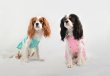 画像10:  【注文受付中】  6月新作 【Jennifer & Colour】Switch Dress (10)