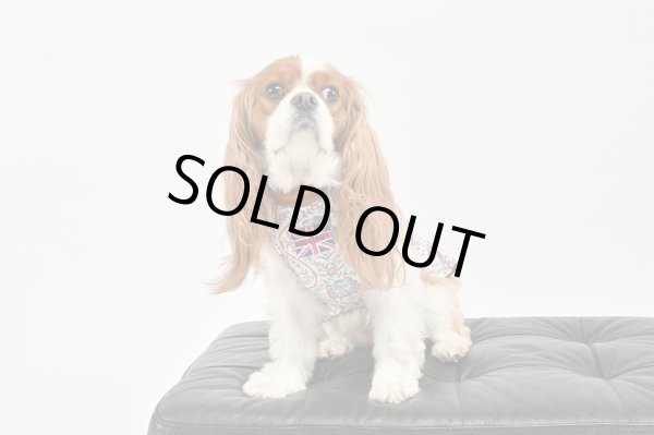 画像4:  1月新作 【キャバスーツ ワンピ】LEGEND CAVALIER (4)