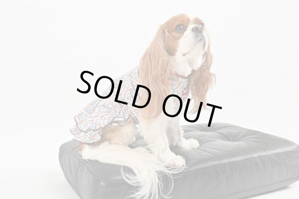 画像3:  1月新作 【キャバスーツ ワンピ】LEGEND CAVALIER (3)