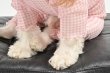 画像8:  【注文受付中】  3月新作 【キャバスーツ LIMITED】Airy SMOCK：ギンガムブラウスPINK (8)