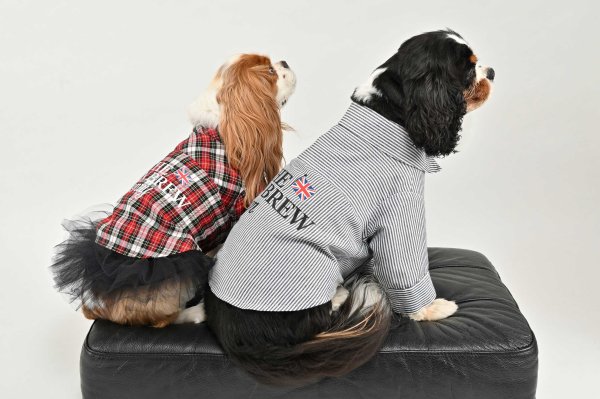 画像10: UNION BREW バリスタシャツ試着セット（600円分ポイントバック付き） (10)