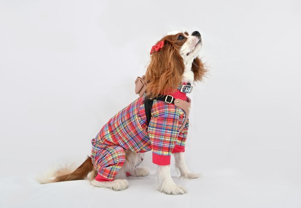 画像3:  【注文受付中】  1月新作 【キャバスーツ LIMITED】DIGITAL PINK (3)