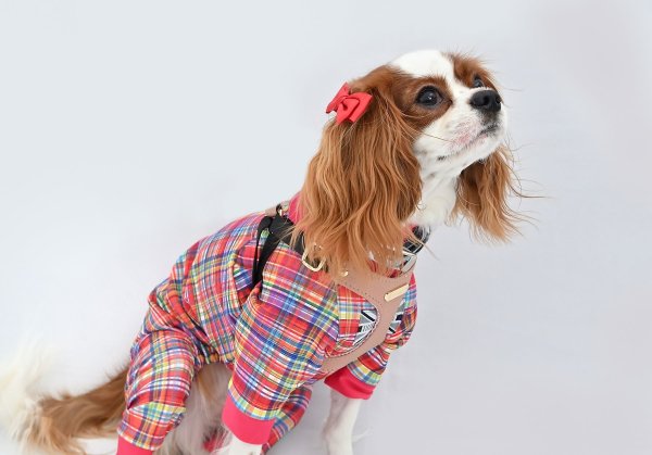 画像2:  【注文受付中】  1月新作 【キャバスーツ LIMITED】DIGITAL PINK (2)