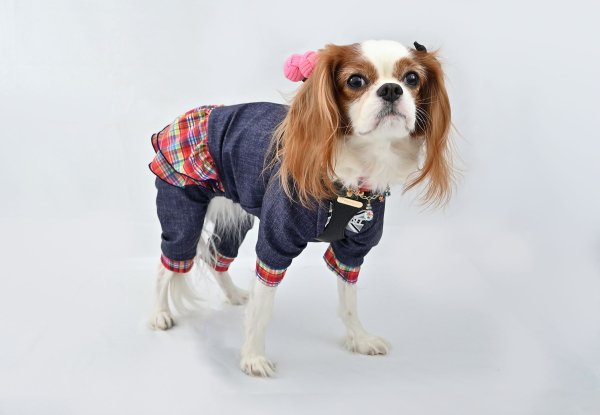 画像3:  【注文受付中】  1月新作 【キャバスーツ FRILL】DIGITAL PINK (3)