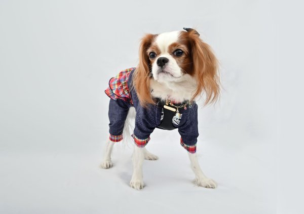 画像2:  【注文受付中】  1月新作 【キャバスーツ FRILL】DIGITAL PINK (2)