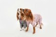 画像6:  【注文受付中】  3月新作 【キャバスーツ LIMITED】Airy SMOCK：ギンガムブラウスPINK (6)