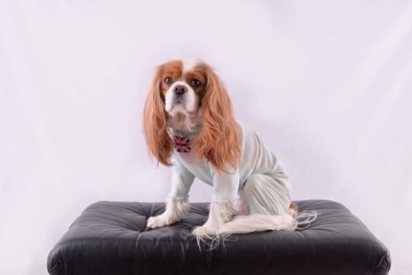 画像5:  2月新作 【キャバスーツ LIMITED】Airy SMOCK：MINT (5)