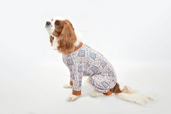 画像5:  【注文受付中】  1月新作 【キャバスーツ LIMITED】LEGEND CAVALIER (5)