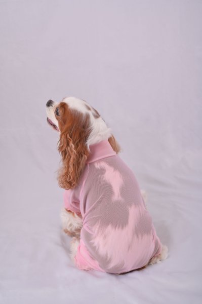 画像4:  2月新作 【キャバスーツ LIMITED】Airy SMOCK：PINK (4)