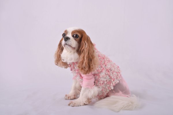 画像5:  2月新作 【キャバスーツ LIMITED】Airy SMOCK：PINK (5)