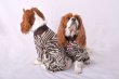 画像3:  2月新作 【キャバスーツ LIMITED】Airy SMOCK：ZEBRA・BROWN (3)