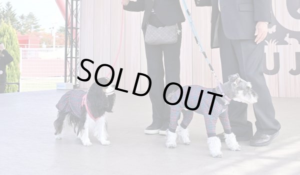 画像4:  【30％OFF】 【キャバスーツ ワンピ】MERRY CHECK（メリーチェック） (4)