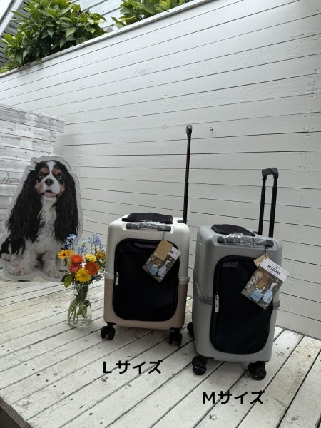 画像16:  【期間限定キャバヒルステッカー付】 PETiCOのペットキャリー「ico」 (16)