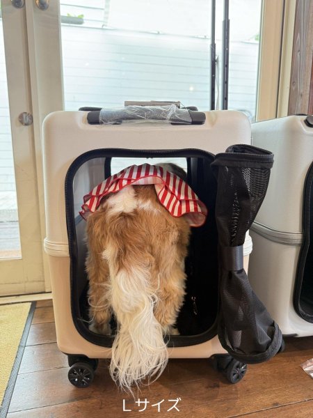 画像11:  【期間限定キャバヒルステッカー付】 PETiCOのペットキャリー「ico」 (11)