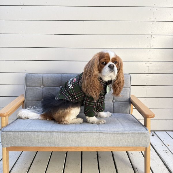 画像3:  【オリジナルネーム入り】 UNION BREW バリスタシャツ：コーデュロイ GREEN TARTAN (3)