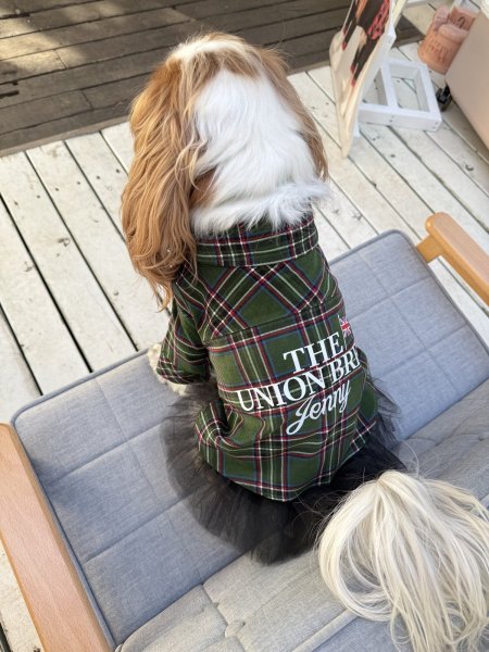 画像5:  【オリジナルネーム入り】 UNION BREW バリスタシャツ：コーデュロイ GREEN TARTAN (5)