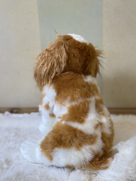 画像2: 【ぬいぐるみ】おすわりDOGキャバリア (2)