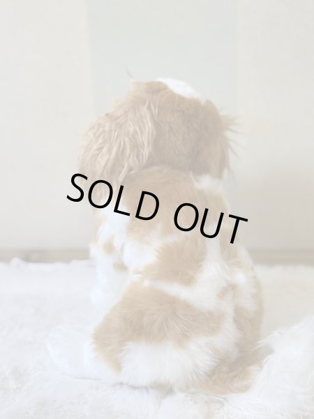 画像2: 【ぬいぐるみ】おすわりDOGキャバリア (2)