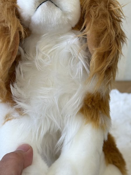 画像4: 【ぬいぐるみ】おすわりDOGキャバリア (4)