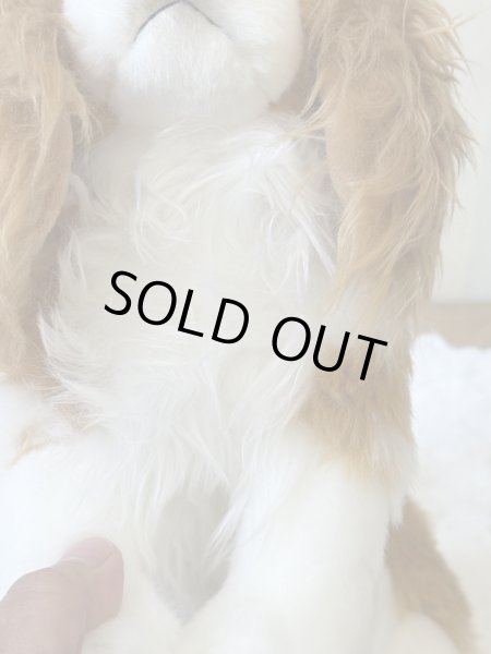 画像4: 【ぬいぐるみ】おすわりDOGキャバリア (4)