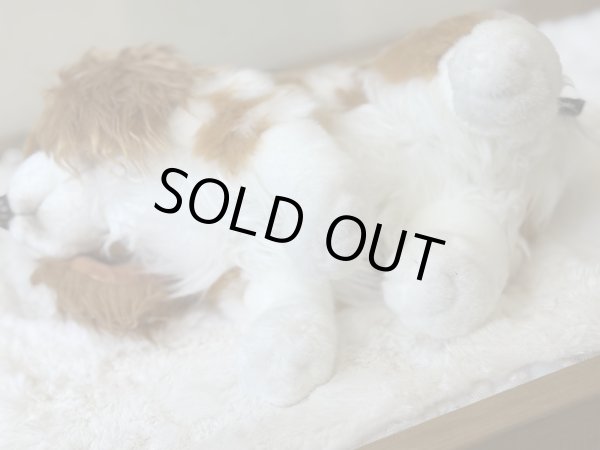 画像3: 【ぬいぐるみ】おすわりDOGキャバリア (3)