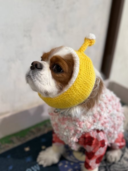 画像3: 宇宙犬スヌード☆イエローＸホワイト (3)