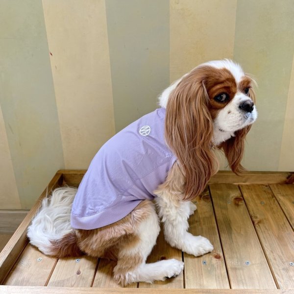 画像2: MB PISTE (2)