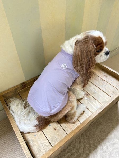 画像21: MB PISTE (21)