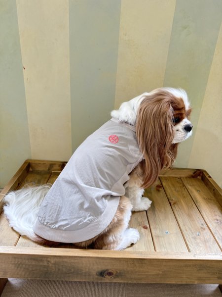 画像22: MB PISTE (22)