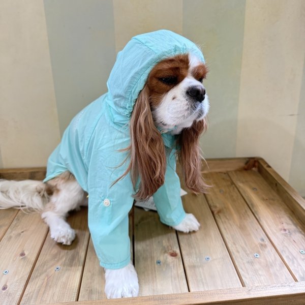 画像4: MB WINDBREAKER (4)