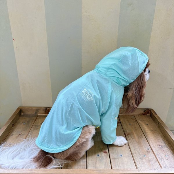 画像5: MB WINDBREAKER (5)