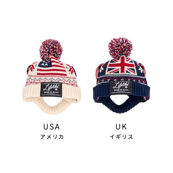 画像1: ナショナルフラッグニット帽 (1)