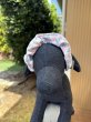 画像2: ８まきイヤーバンド【ラムネ千鳥】 (2)