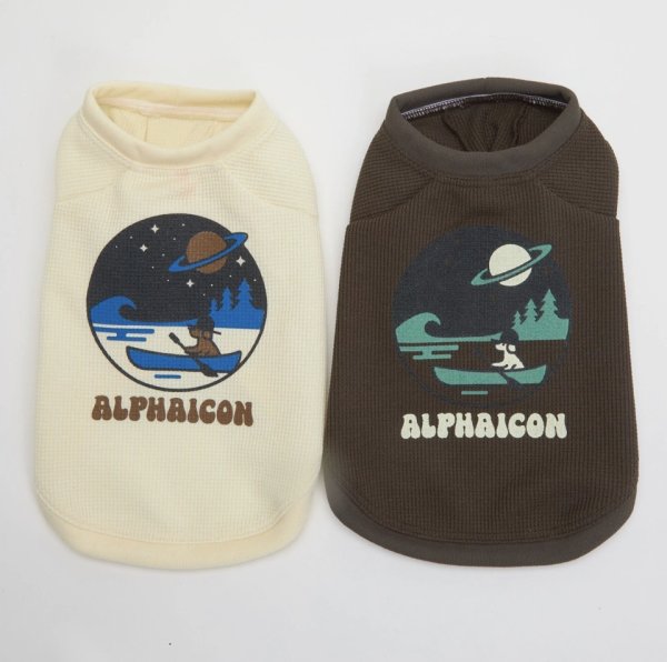 画像5:  【アルファアイコン】 ドライニットティー(2026年モデル) (5)