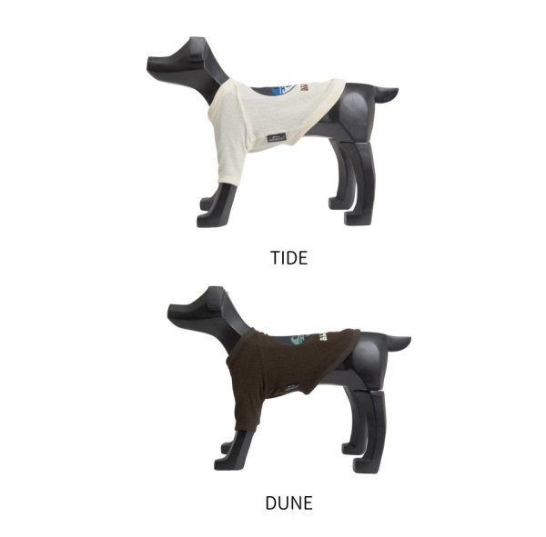 画像7:  【アルファアイコン】 ドライニットティー(2026年モデル) (7)