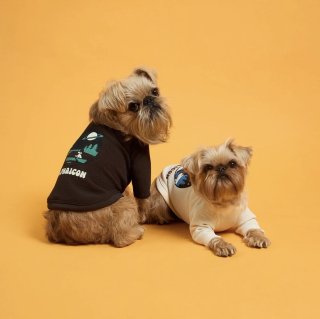 INU-CLOSET【キャバリアグッズ・ドッグウェアのセレクトショップ】