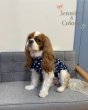 画像4:  【注文受付中】  8月新作  【Jennifer & Colour】BALLOON ROMPERS（バルーンロンパース）Polka Dot (4)