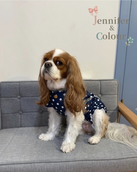 画像4:  【注文受付中】  8月新作  【Jennifer & Colour】BALLOON ROMPERS（バルーンロンパース）Polka Dot (4)