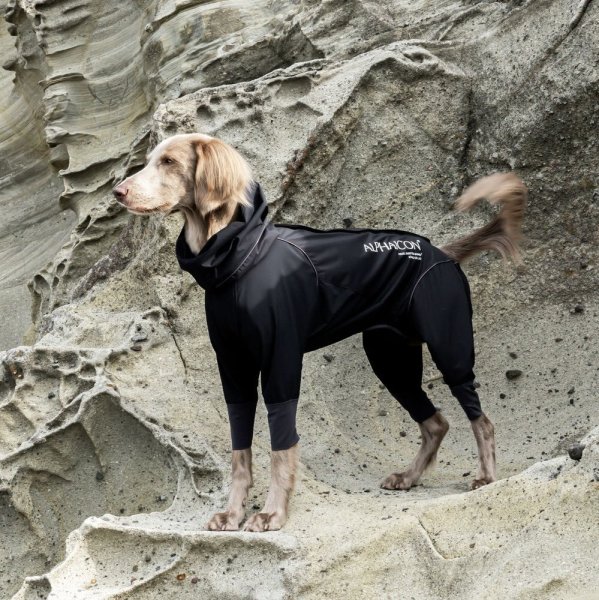 画像2:  【アルファアイコン】 レインドッグガード(2026年モデル) (2)