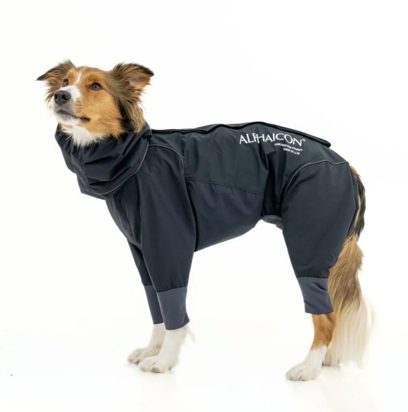 画像5:  【アルファアイコン】 レインドッグガード(2026年モデル) (5)