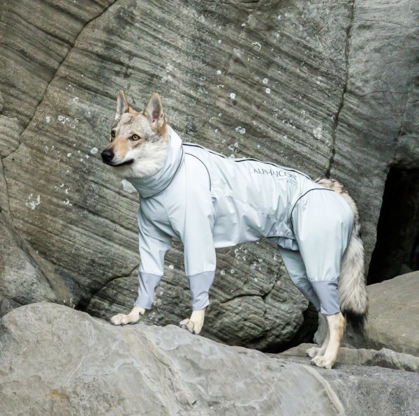 画像1:  【アルファアイコン】 レインドッグガード(2026年モデル) (1)